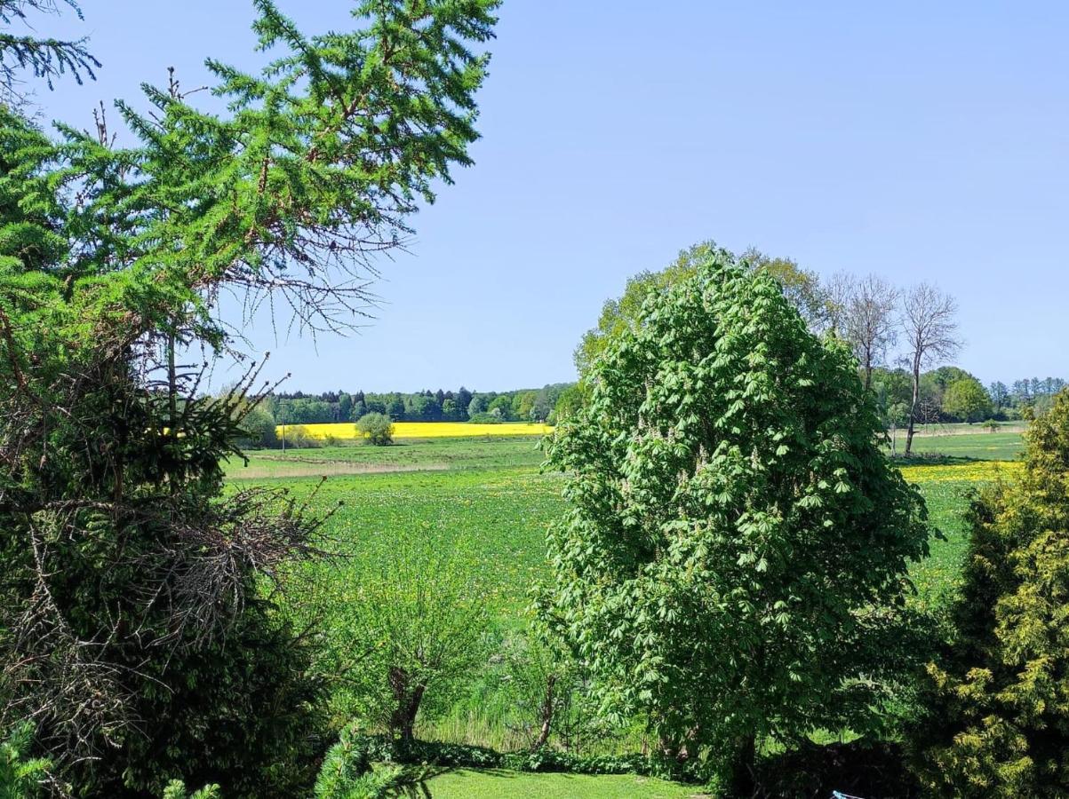 Baldies Tenne In Ostseenaehe Neu Wendorf Exterior photo
